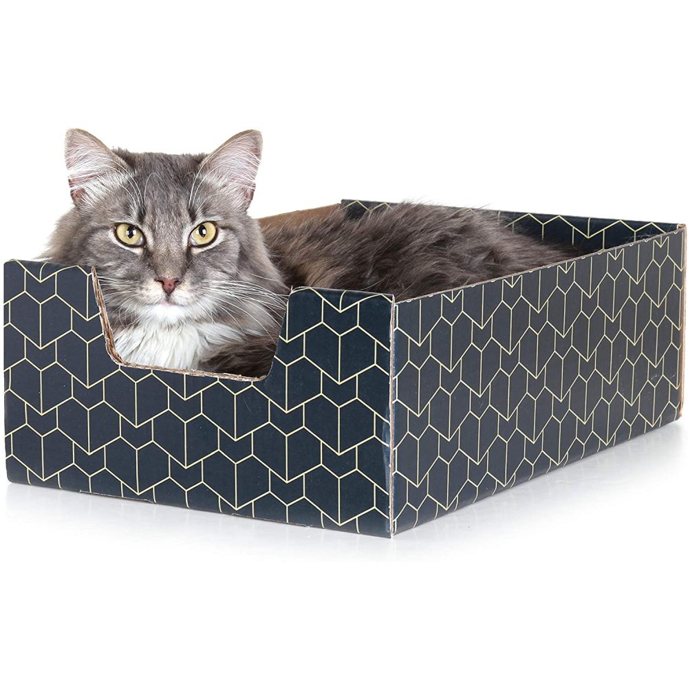 Purrfect Cat Box