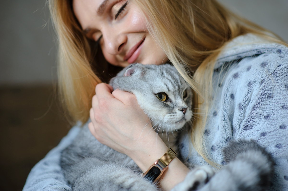 5 Reasons Why Do Cats Have a Favorite Person