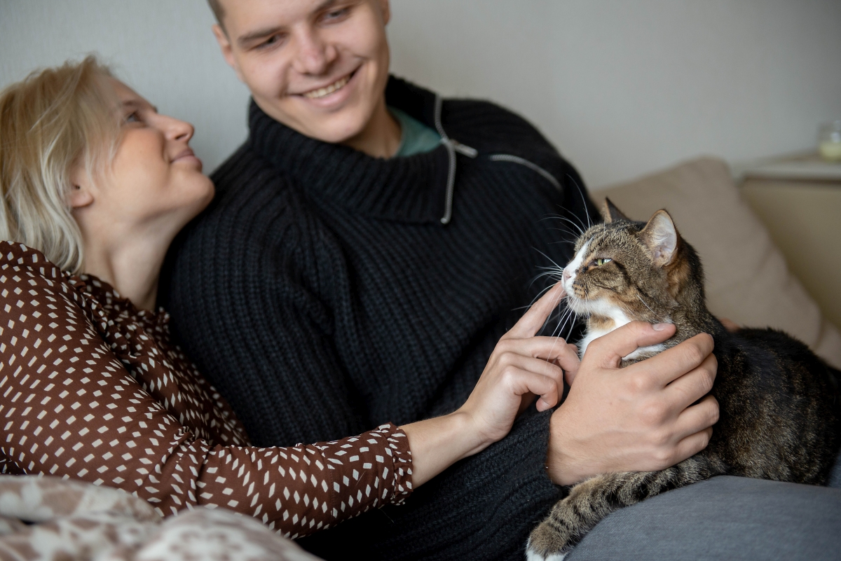 5 Reasons a Cat Contributes to Your Good Health and Well Being