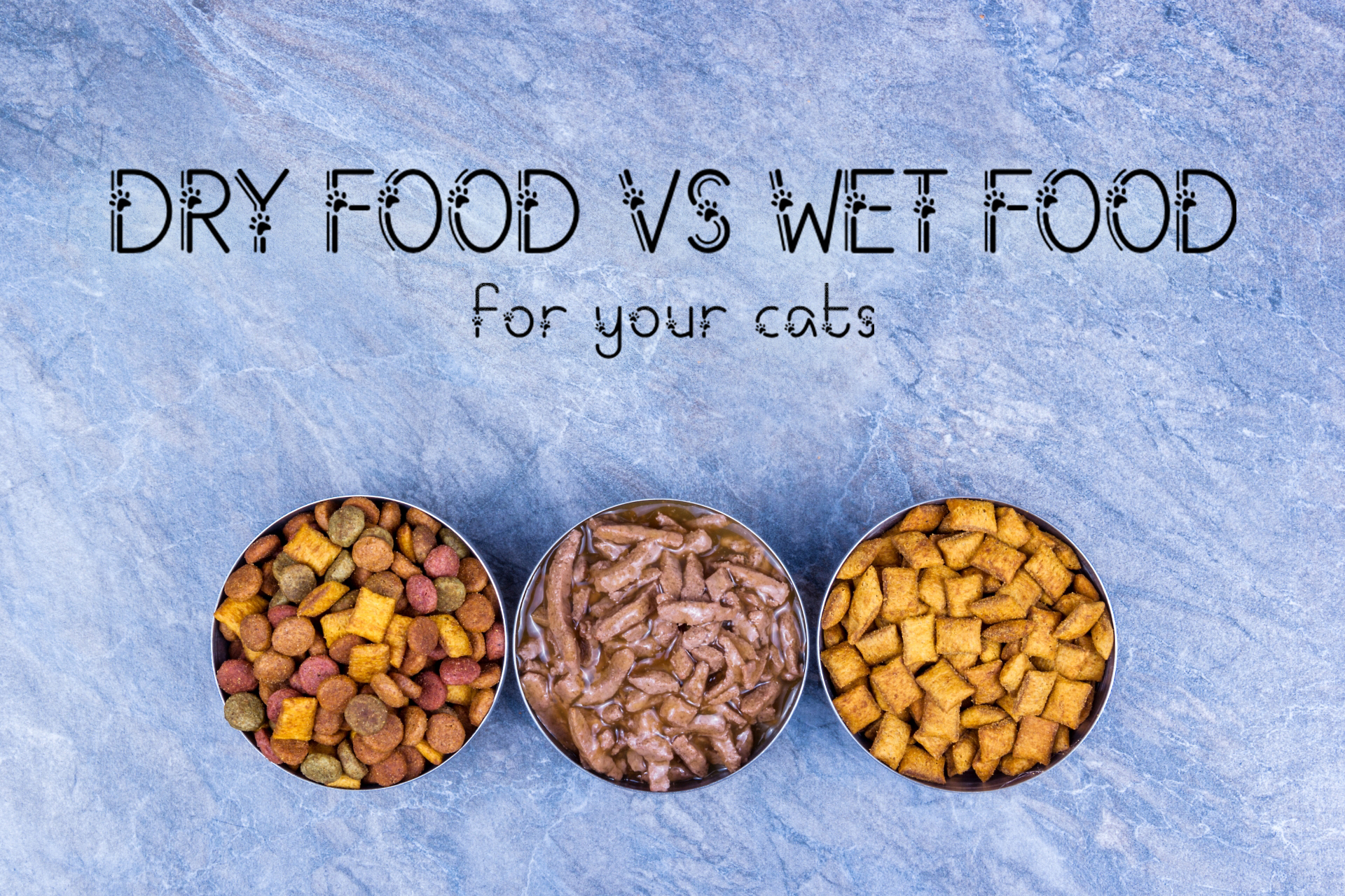 Dry and wet cat foods