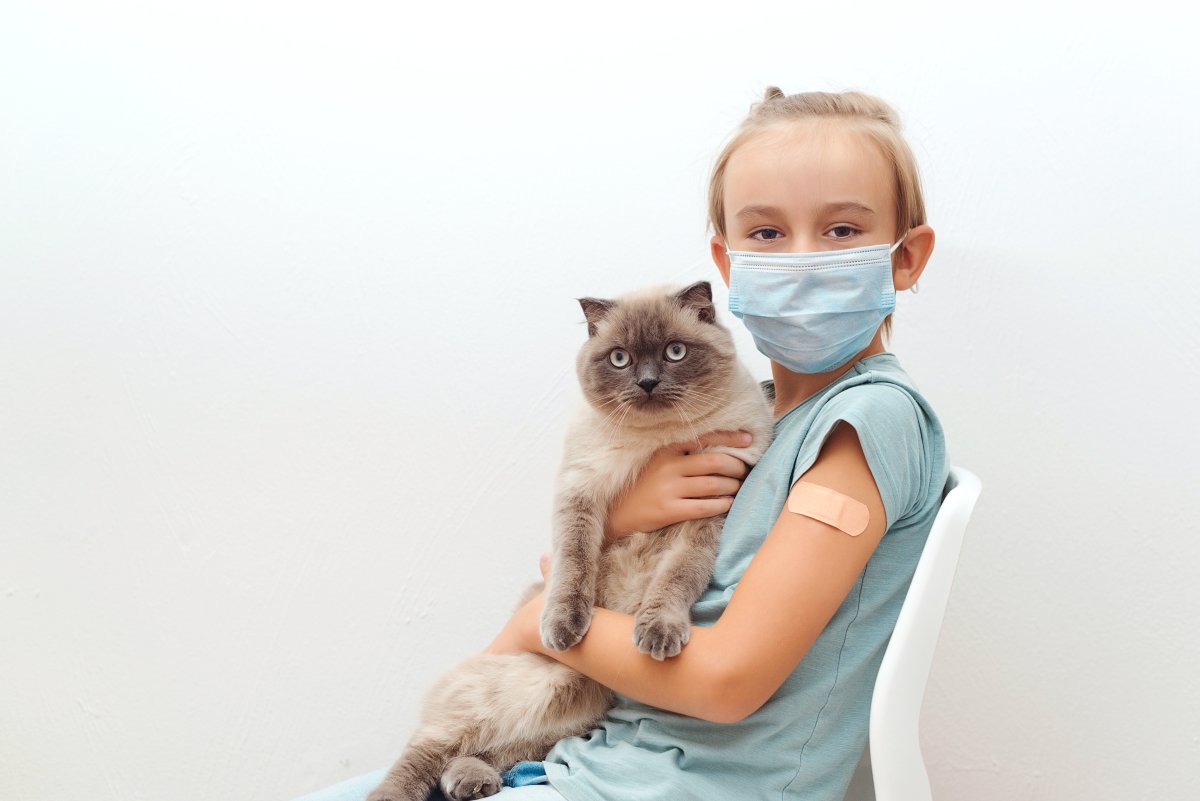 Can You Pass COVID-19 To Your Cat? What Do Studies Say About It?