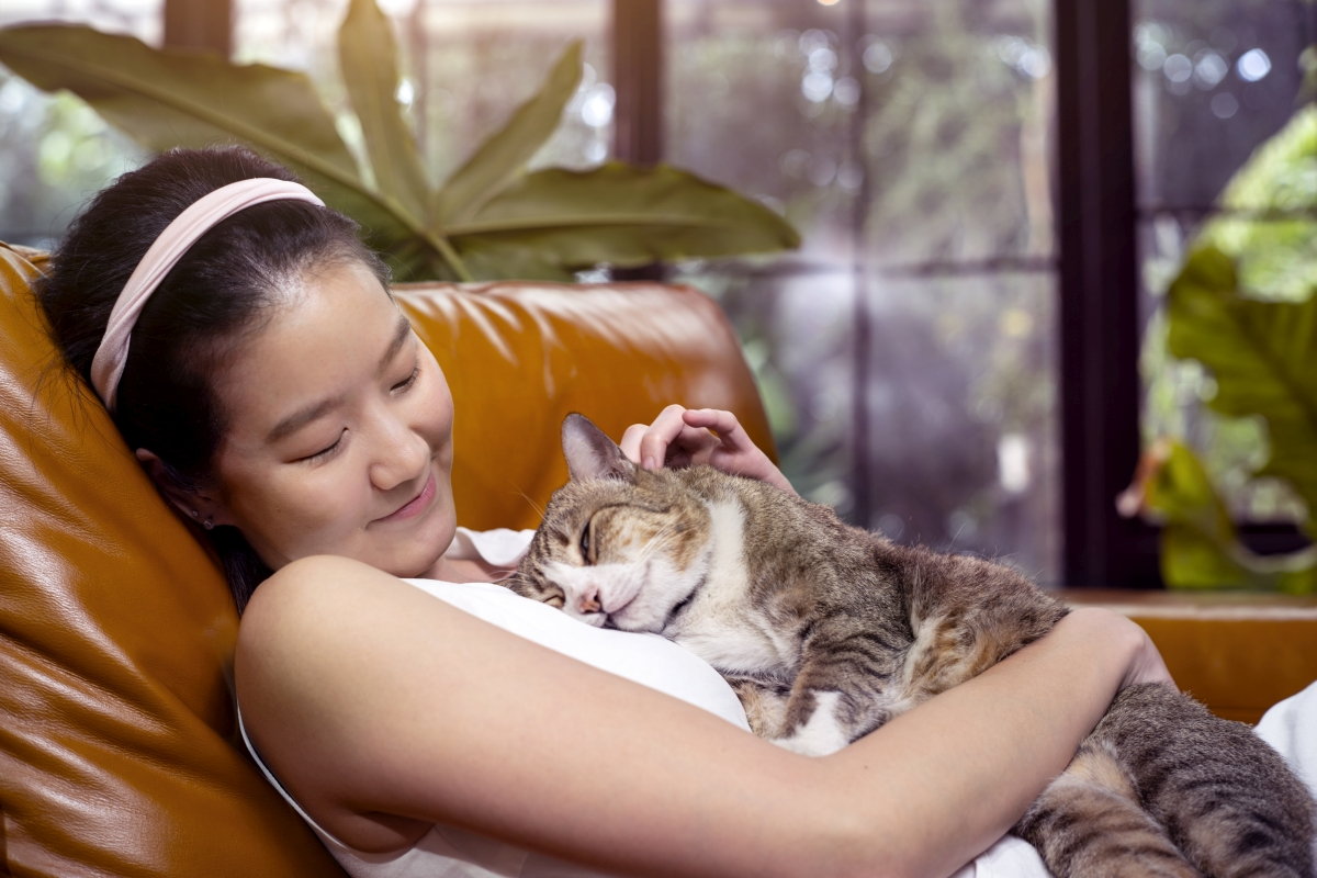 Reasons Why a Cat Likes To Sleep With Its Owner
