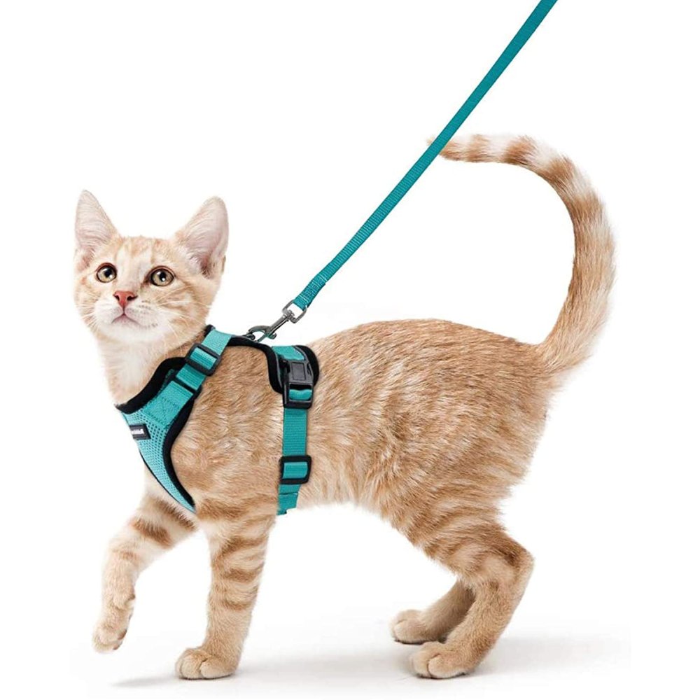 Rabbitgoo Cat Harness and Leash for Walking, Escape Proof Soft Adjustable Vest Harnesses for Cats
