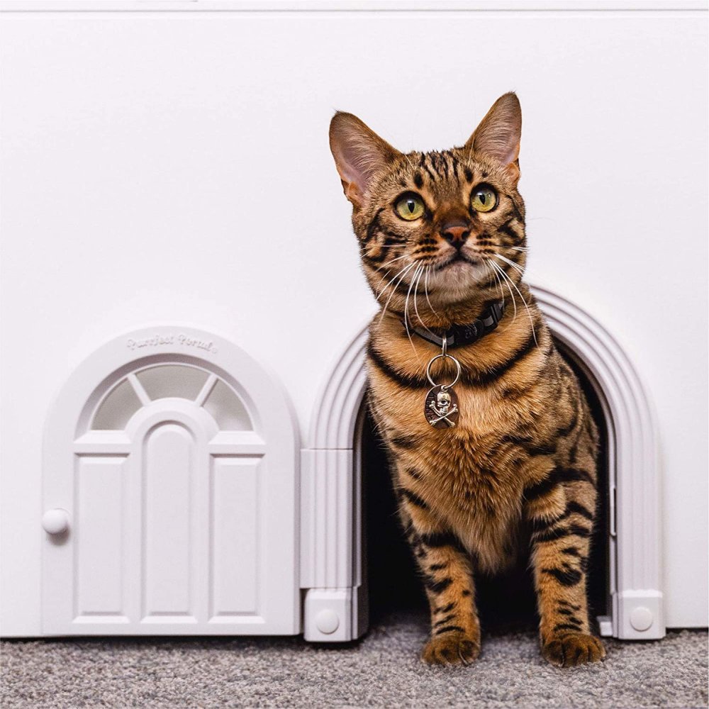 A DIY Cat Door For Your Furry