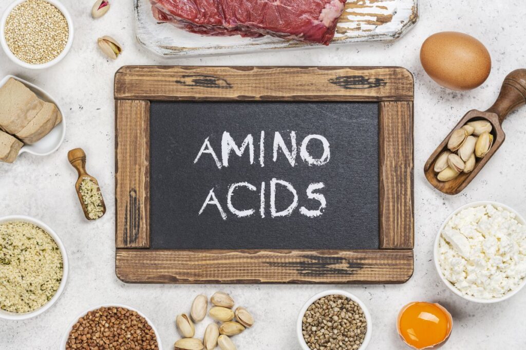 Sources of amino acids