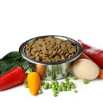 Cat Food - Everything You Need to Know