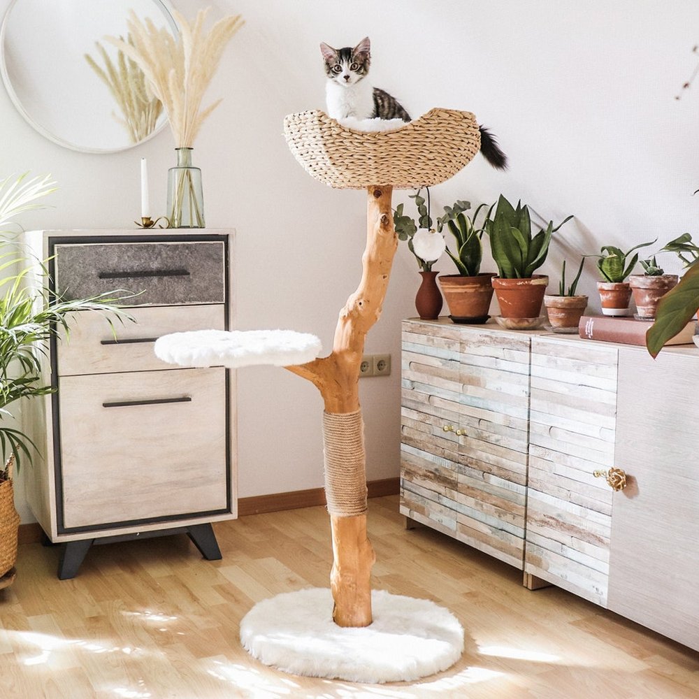 Cat Tree Tower, Modern Single Branch Cat Condo