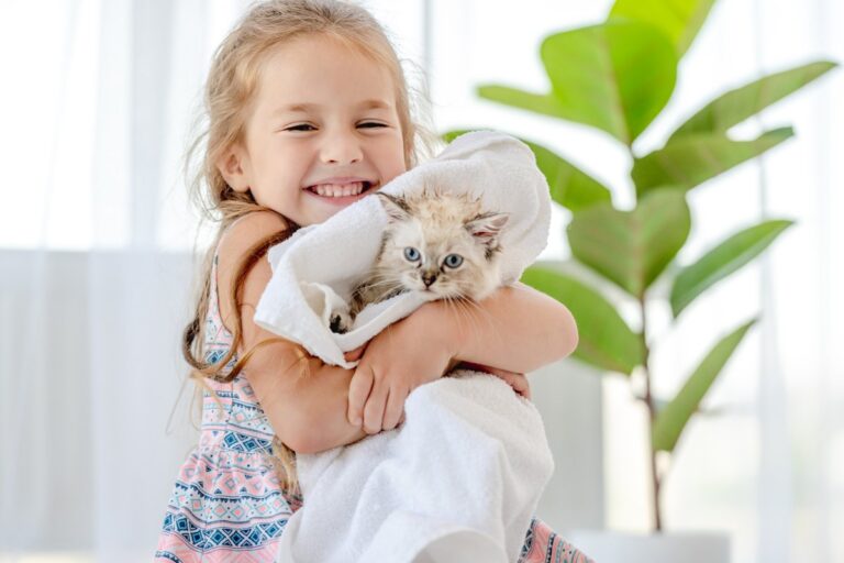 A girl hold her kitten after bath
