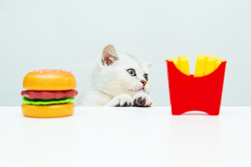 Illustration of unhealthy foods for your cat