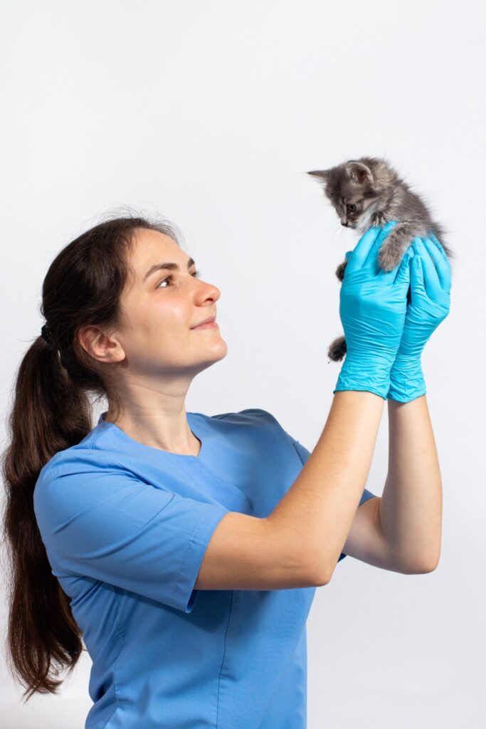 Vet holding a kitten with both hands