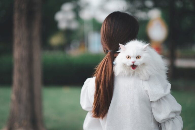 A woman holding a white cat