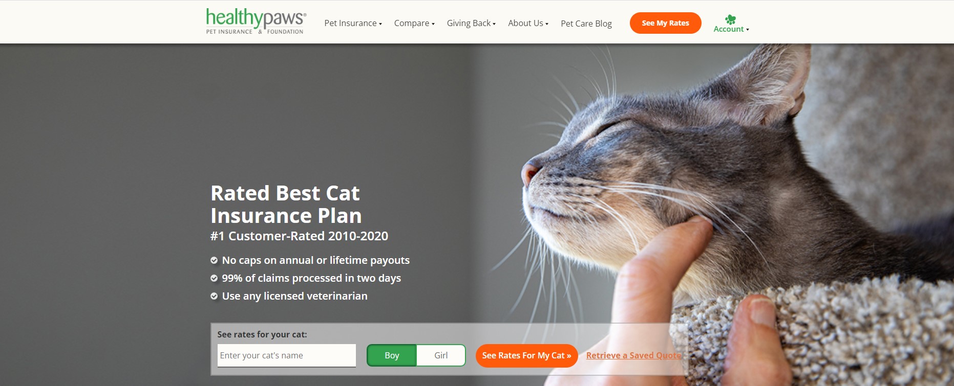 Healthypaws Cat & Kitten Insurance