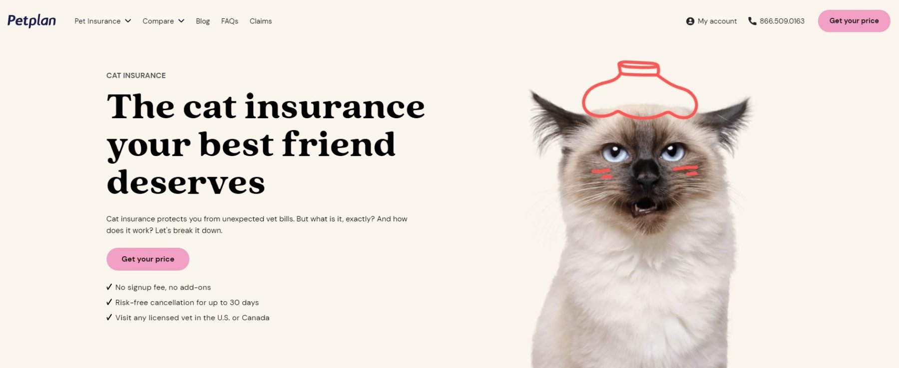 Petplan Cat Insurance