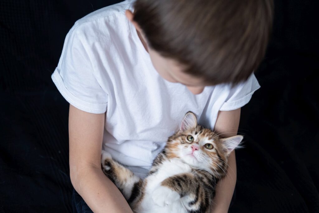 A boy is holding his bobtail cat