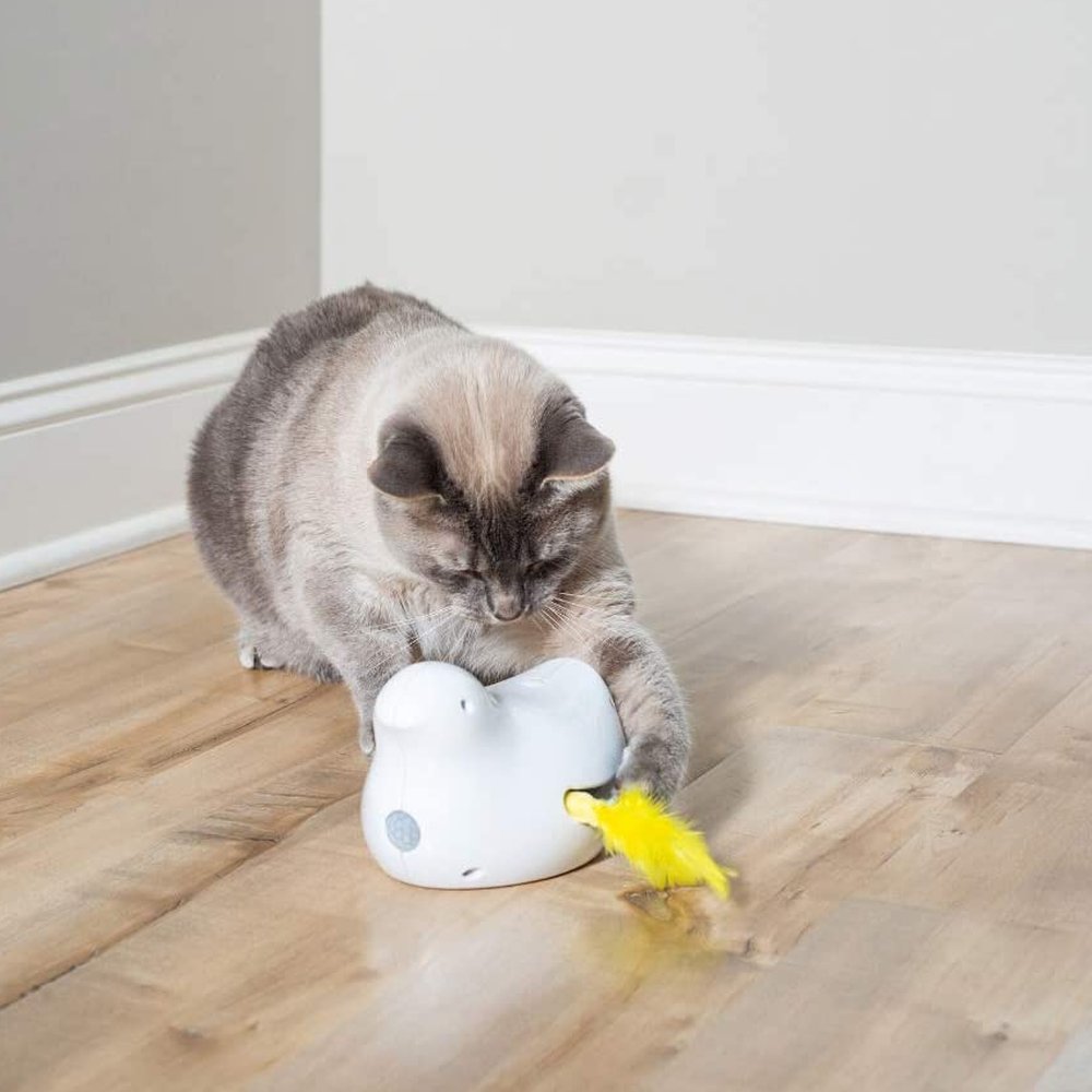PetSafe Peek-A-Bird Electronic Cat Toy