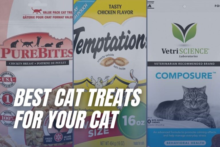 Best Cat Treats for Your Pet