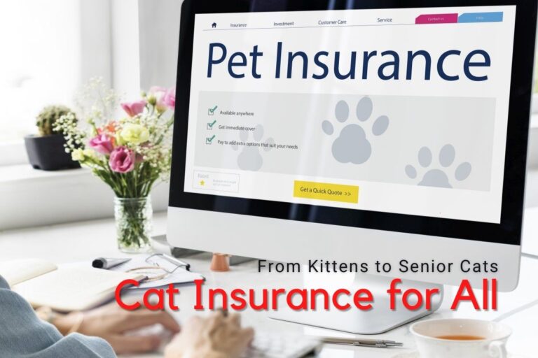 Cat Insurance for All - From Kittens to Senior Cats