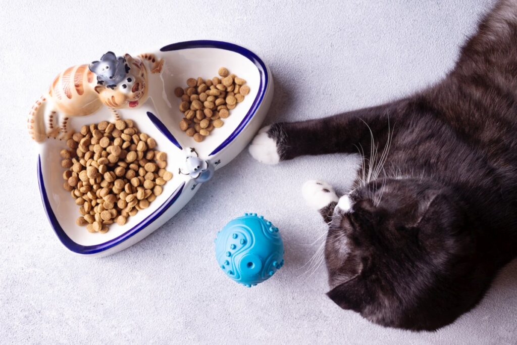 A black cat is lying near a bowl of food