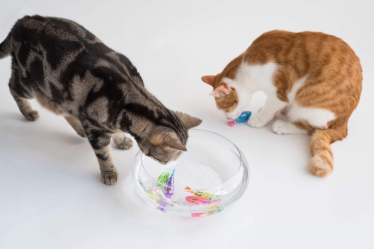 The Best Interactive Toys for Your Cat in 2021