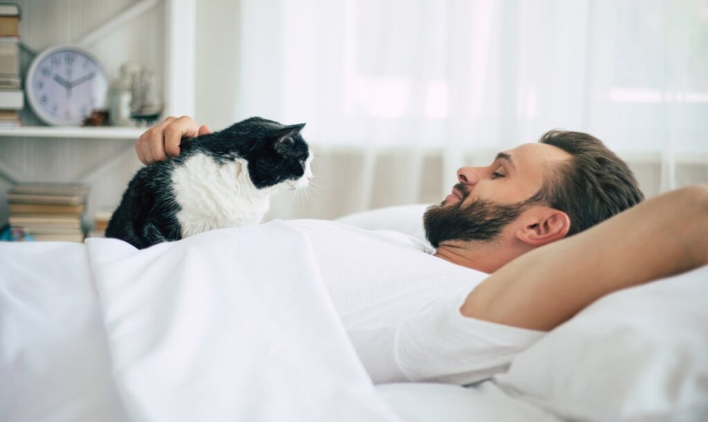 Cat waking up its owner