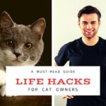 Life Hacks For Cat Owners – A Must-Read Guide!