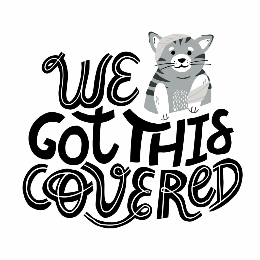 Cat insurance - We got this covered