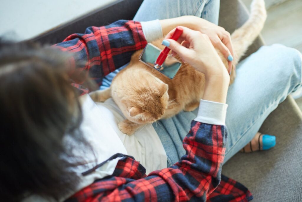 Woman holding and combing a cat