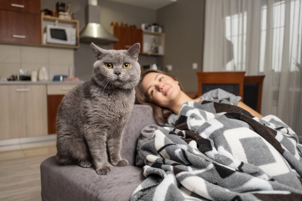 Woman relaxing with her cat on a couch