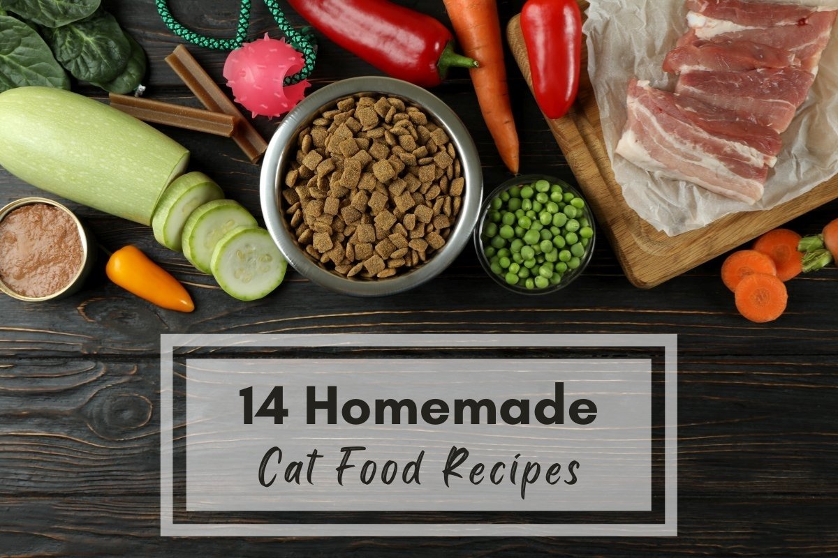 14 Homemade Cat Food Recipes