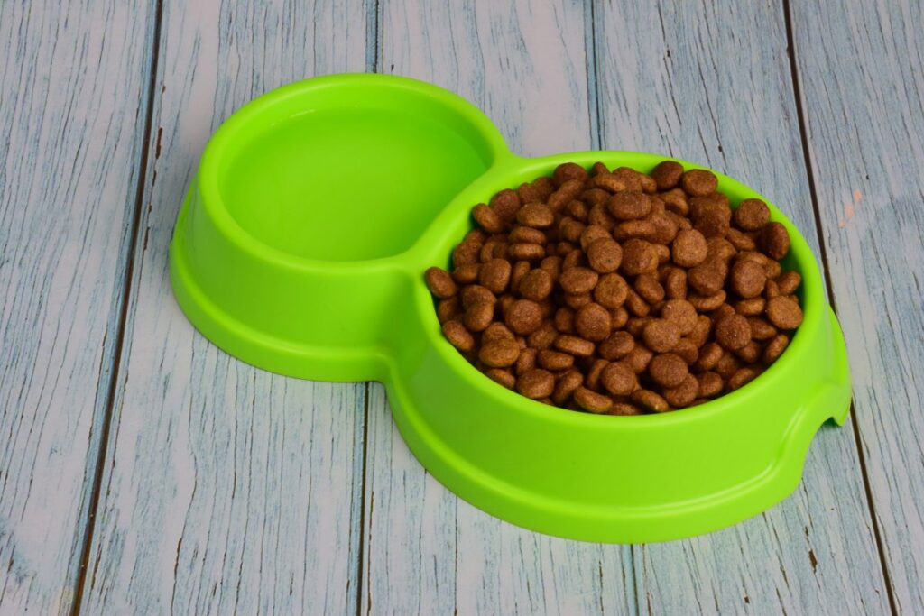 Dry cat food and water in green bowl