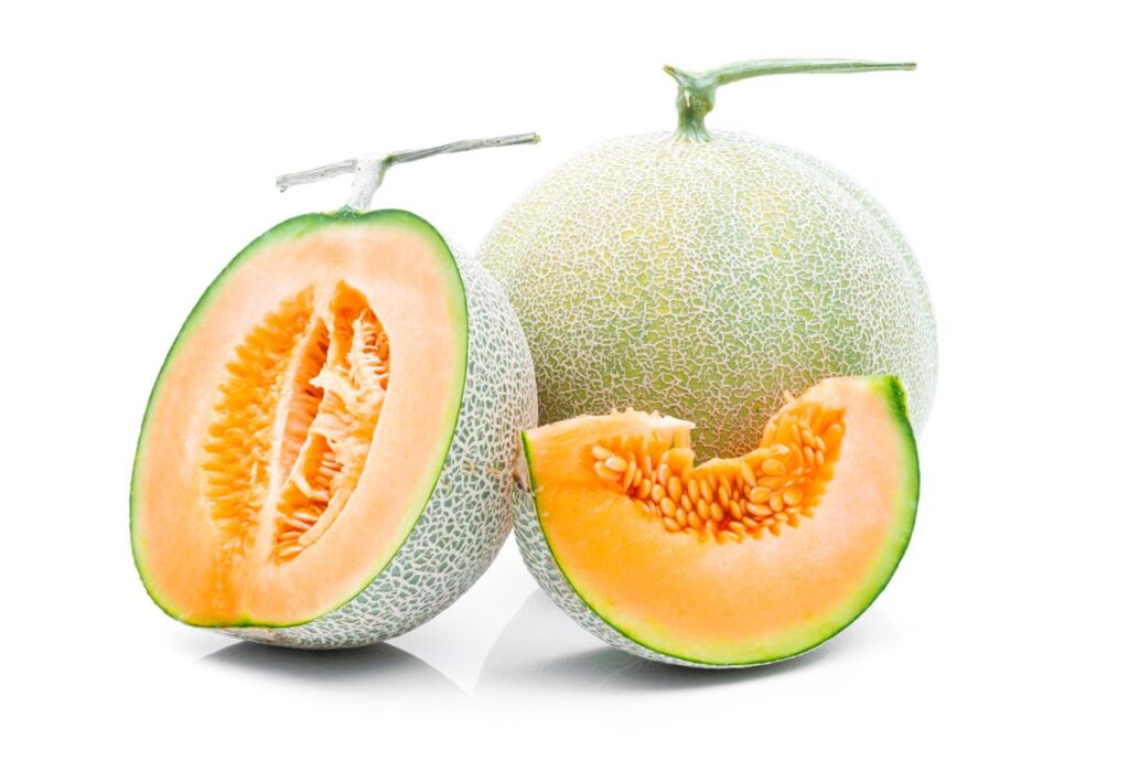 Melon fruits on a white background