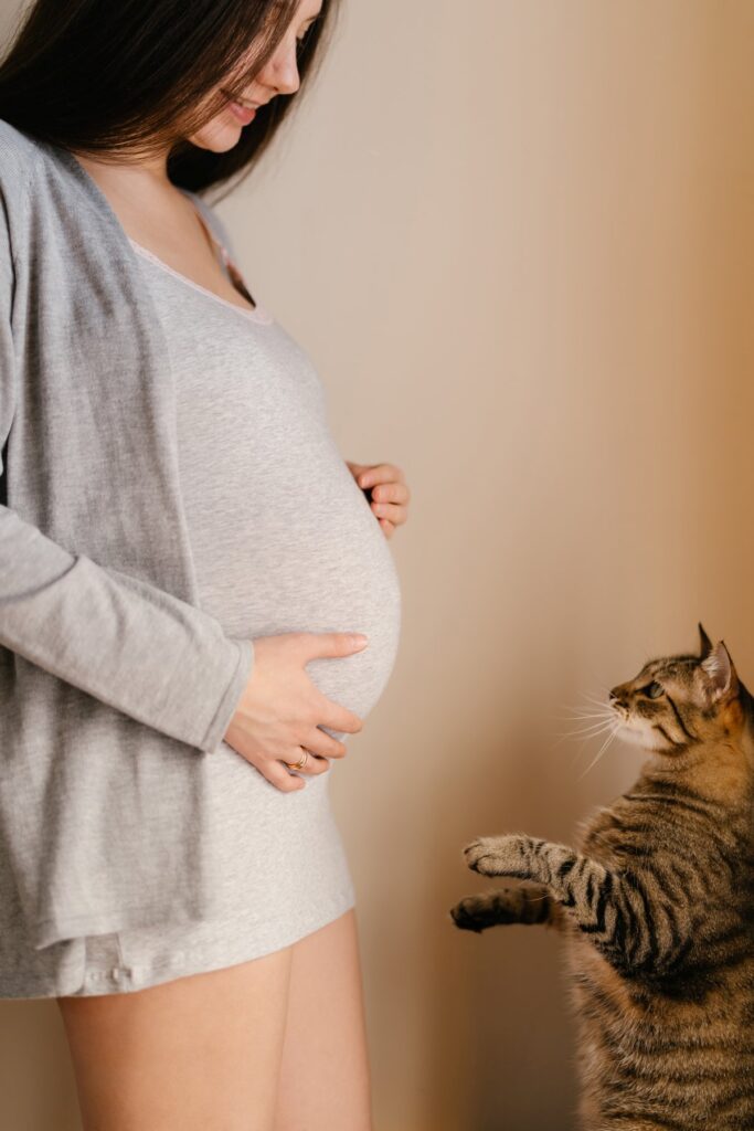 A cat is standing in front of a pregnant woman