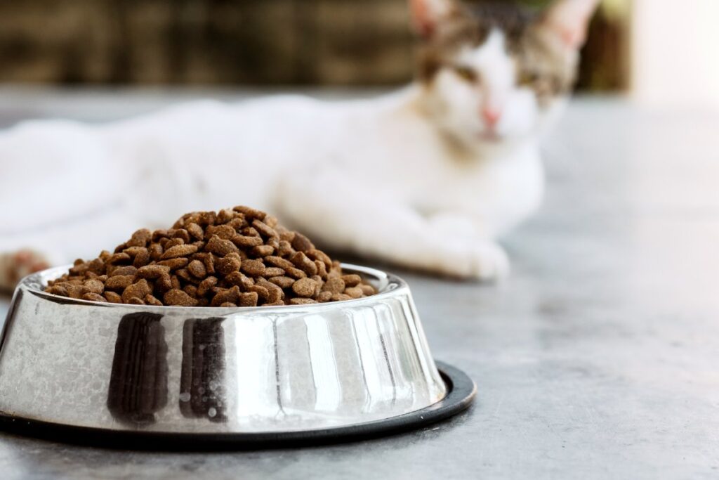 Cat food with feline on background