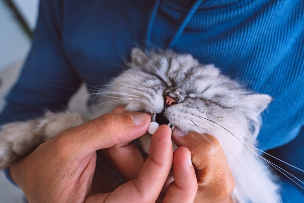 Giving vitamin or medicine to a cat