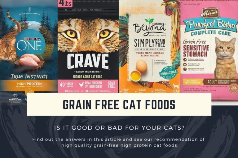 Grain Free High Protein Cat Foods