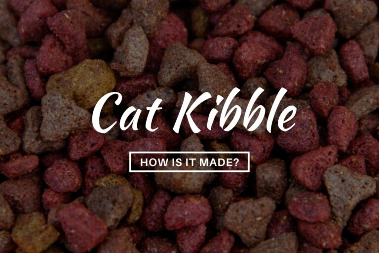 How cat kibble is made