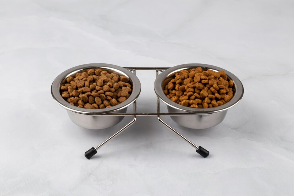 Cat kibbles on two steel bowls