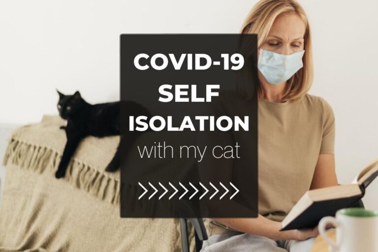 COVID-19 Self-Isolation with My Cat