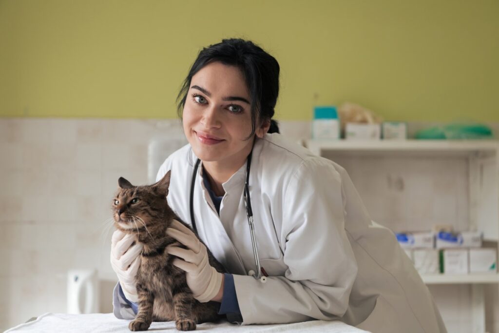 Female veterinarian holding a cat