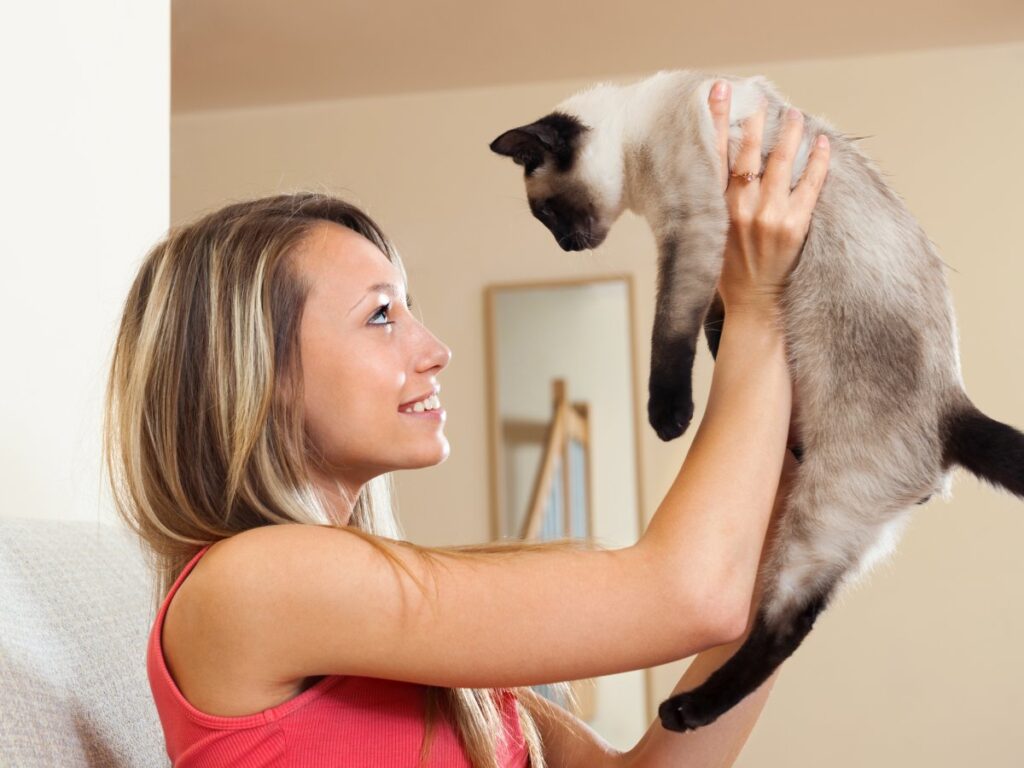 A woman is playing with her Siamese cat