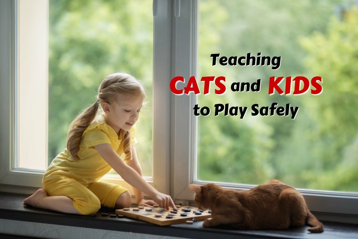 Teaching Your Cats and Kids to Play Safely