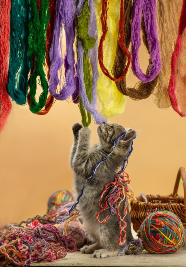 Colorful wool ball or yarns attract cats and kittens to play with them