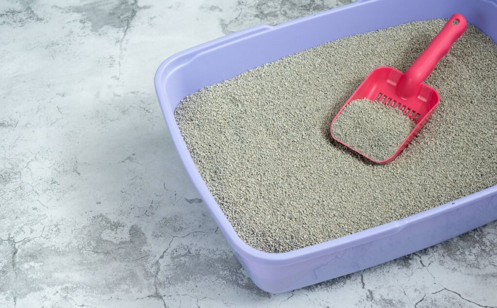 Clean sand cat litter