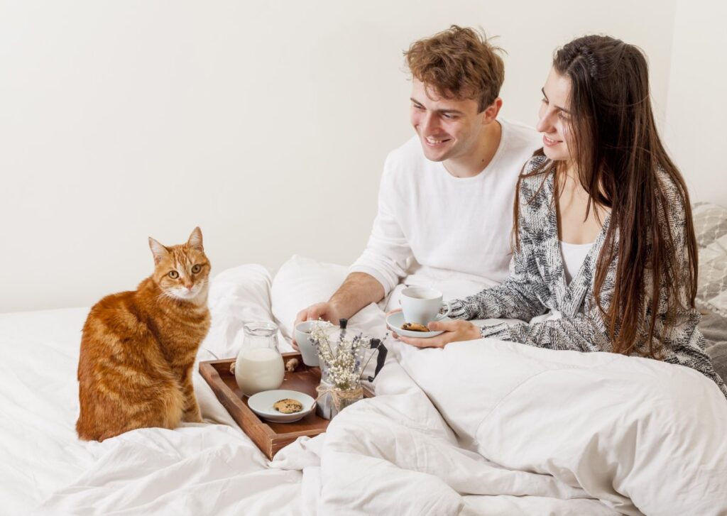 A couple is enjoying hotel breakfast along with their cat