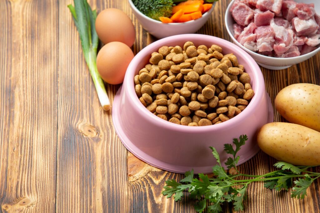 Healthy cat food with ingredients