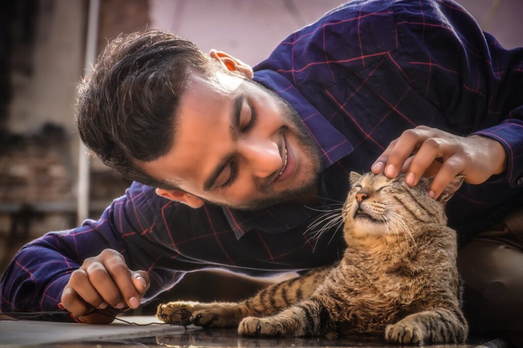 A man is playing with his cat to relieve stress