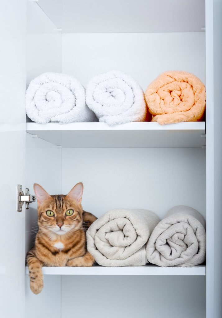 A funny cat is hiding in a pile of towels in the wardrobe